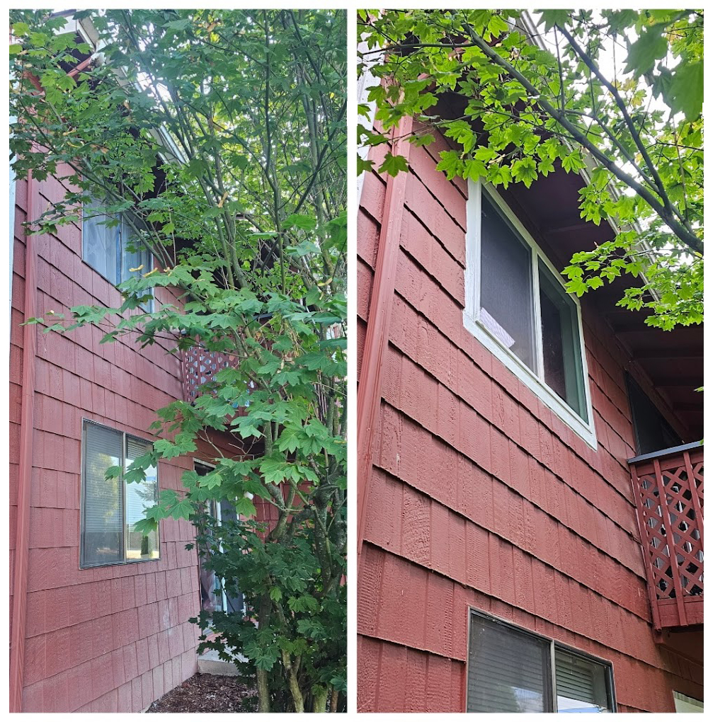 Before image shows a red apartment building with an old window.

After image shows the same building with a new window replaced by All Fixed LLC.